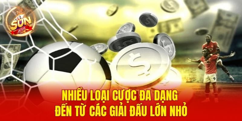 Nhiều loại cược đa dạng đến từ các giải đấu lớn nhỏ